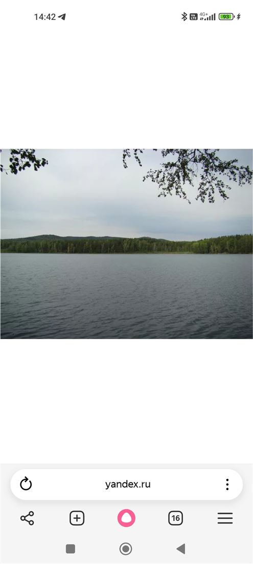 Купить  коммерческую недвижимость